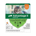 Photo of Elanco-Advantage Flea Control for Cats and Kittens-1-9 lb-4 count-from Pet Wish Pros