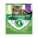 Photo of Elanco-Advantage XD Topical Flea Treatment & Prevention for Cats-1 Dose-Small Cat (under 9 lbs)-New Formula-from Pet Wish Pros