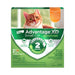 Photo of Elanco-Advantage XD Topical Flea Treatment & Prevention for Cats-2 Doses-Small Cat (under 9 lbs)-Original-from Pet Wish Pros
