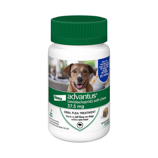 Photo of Elanco-Advantus Chewable Flea Treatments for Dogs-7 count-Large Dog (over 10 lb)-from Pet Wish Pros