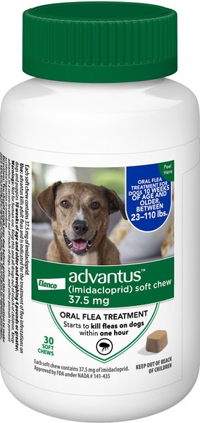 Photo of Elanco-Advantus Chewable Flea Treatments for Dogs-Large-37.5 mg-30 count-from Pet Wish Pros