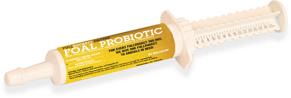 Photo of FullBucket Health-FullBucket Equine Foal Probiotic Paste-32.5 cc-from Pet Wish Pros