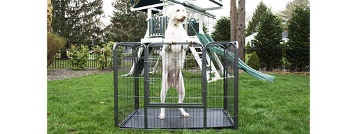 Photo of Iconic Pet-Heavy Duty Rectangle Tube pen Dog Cat Pet Training Kennel Crate-28"-from Pet Wish Pros