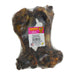 Photo of Jones Natural Chews-Jones Natural Chews Pork Dino Bone Dog Chew-2 count-from Pet Wish Pros