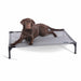 Photo of K&H Pet Products-K&H Pet Products All Weather Pet Cot-Large-from Pet Wish Pros