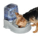 Photo of K&H Pet Products-K&H Pet Products Clean Flow Pet Bowl with Reservoir-Small-from Pet Wish Pros