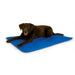 Photo of K&H Pet Products-K&H Pet Products Cool Bed III Thermoregulating Pet Bed-Large-from Pet Wish Pros