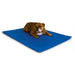 Photo of K&H Pet Products-K&H Pet Products Cool Bed III Thermoregulating Pet Bed-Medium-from Pet Wish Pros