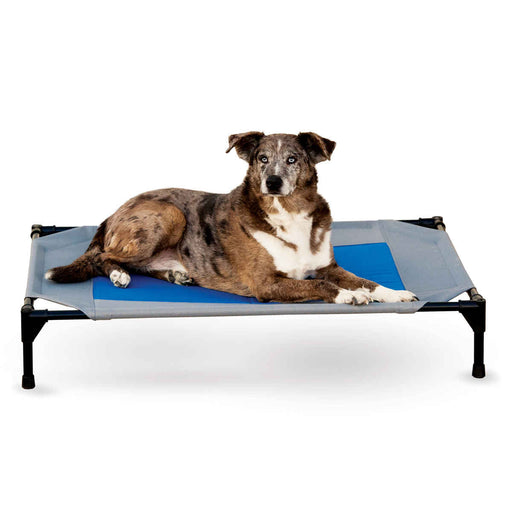 Photo of K&H Pet Products-K&H Pet Products Coolin' Pet Cot-Large-from Pet Wish Pros