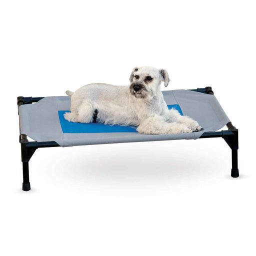 Photo of K&H Pet Products-K&H Pet Products Coolin' Pet Cot-Medium-from Pet Wish Pros