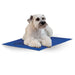 Photo of K&H Pet Products-K&H Pet Products Coolin Pet Pad-Medium-from Pet Wish Pros