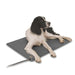 Photo of K&H Pet Products-K&H Pet Products Deluxe Lectro-Kennel-Large-from Pet Wish Pros