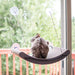 Photo of K&H Pet Products-K&H Pet Products EZ Mount Cat Scratcher Kitty Sill Cradle-Pack of 1-from Pet Wish Pros