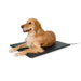 Photo of K&H Pet Products-K&H Pet Products Lectro-Kennel Heated Pad-Large-from Pet Wish Pros