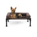 Photo of K&H Pet Products-K&H Pet Products Original Bolster Pet Cot-from Pet Wish Pros