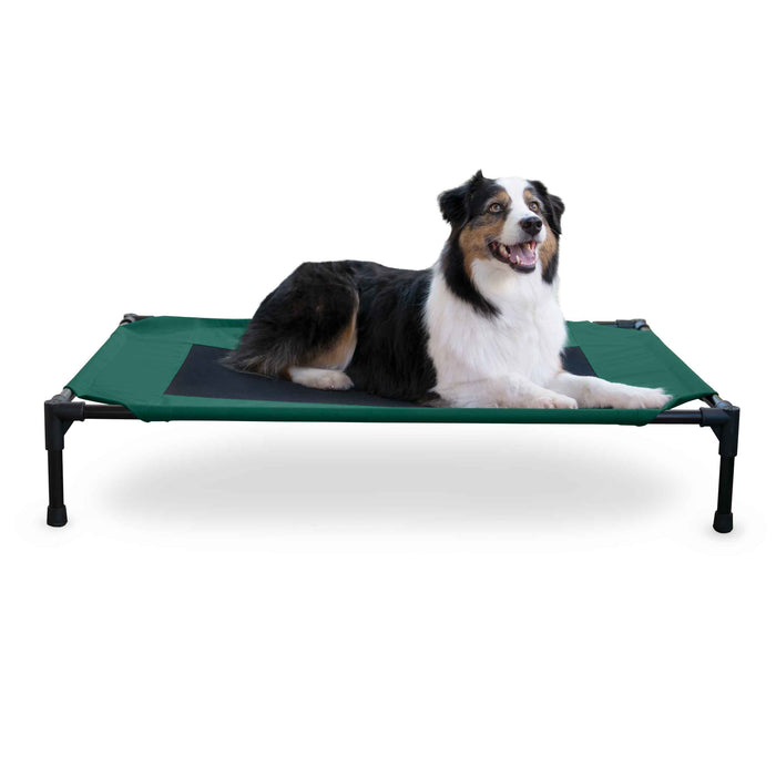 Photo of K&H Pet Products-K&H Pet Products Original Pet Cot Elevated Pet Bed-Large-Green-from Pet Wish Pros