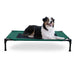 Photo of K&H Pet Products-K&H Pet Products Original Pet Cot Elevated Pet Bed-Large-Green-from Pet Wish Pros