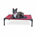 Photo of K&H Pet Products-K&H Pet Products Original Pet Cot Elevated Pet Bed-Medium-Red-from Pet Wish Pros