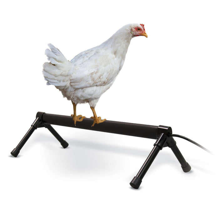 Photo of K&H Pet Products-K&H Pet Products Thermo-Chicken Perch-26 in x 14 in x 8 in-from Pet Wish Pros