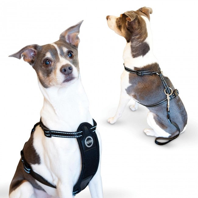 Photo of K&H Pet Products-K&H Pet Products Travel Safety Pet Harness-Extra Large-from Pet Wish Pros