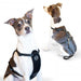 Photo of K&H Pet Products-K&H Pet Products Travel Safety Pet Harness-Large-from Pet Wish Pros