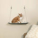 Photo of K&H Pet Products-K&H Pet Products Wall Mounted Cat Shelf-from Pet Wish Pros