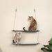Photo of K&H Pet Products-K&H Pet Products Wall Mounted Cat Shelf-from Pet Wish Pros
