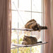 Photo of K&H Pet Products-K&H Pet Products Window Double Lounger Cat Perch-Double Lounger-from Pet Wish Pros