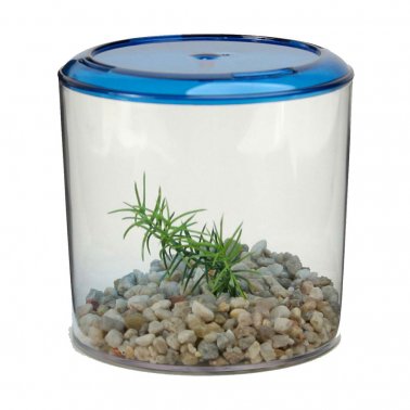 Photo of Lee's Aquarium-Lee's Round Betta Keeper-36 oz-Assorted-from Pet Wish Pros