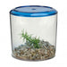 Photo of Lee's Aquarium-Lee's Round Betta Keeper-36 oz-Assorted-from Pet Wish Pros