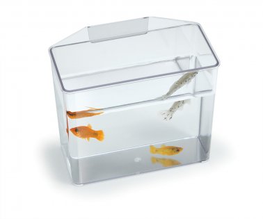 Photo of Lee's Aquarium & Pet Products-Lee's Break Resistant Specimen Container-Small-Clear-from Pet Wish Pros