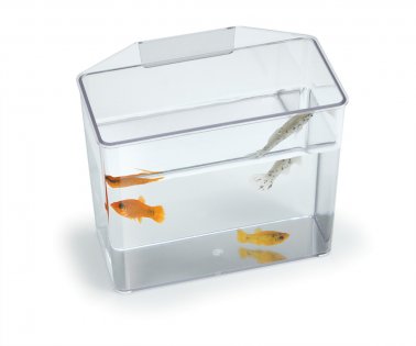 Photo of Lee's Aquarium & Pet Products-Lee's Break Resistant Specimen Container-Small-from Pet Wish Pros