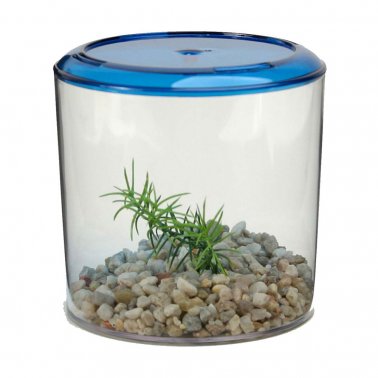 Photo of Lee's Aquarium & Pet Products-Lee's Round Betta Keeper-5.5 in-from Pet Wish Pros