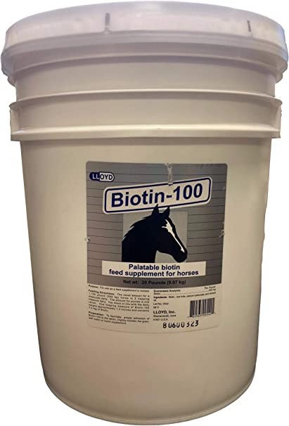 Photo of Lloyd-Biotin-100-20 lb-from Pet Wish Pros