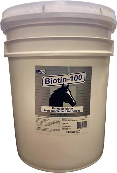 Photo of Lloyd-Biotin-100-from Pet Wish Pros
