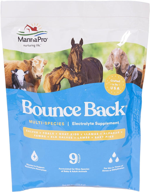 Photo of Manna Pro-Manna Pro Bounce Back Electroyte Supplement-4 oz-from Pet Wish Pros