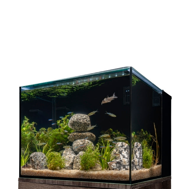 Photo of Marineland-Marineland Exhibit Series Wi-Fi LED Kit-20 Gallon-from Pet Wish Pros