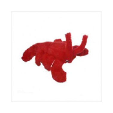 Photo of Multipet International-Multipet Look Who's Talking Lobster Dog Toy-from Pet Wish Pros