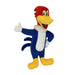 Photo of Multipet International-Multipet Woody Woodpecker Dog Toy-Pack of 1-from Pet Wish Pros