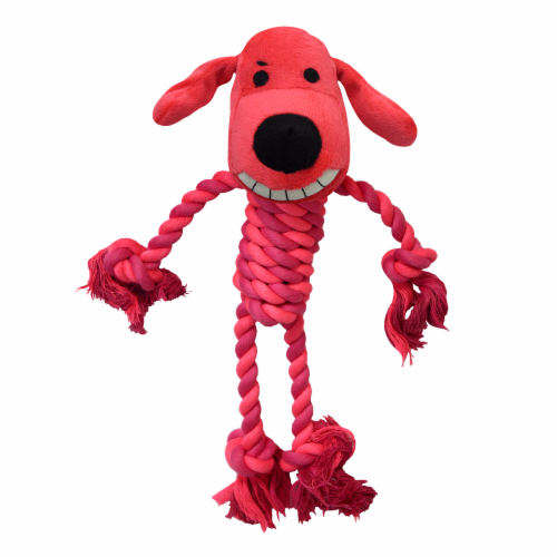 Photo of Multipet-Multipet Rope Body Loofa Dog Toy-11 in-Assorted-from Pet Wish Pros