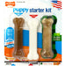 Photo of Nylabone-Nylabone Puppy Starter Kit-Small (3 count)-Chicken & Bacon-3 piece-from Pet Wish Pros