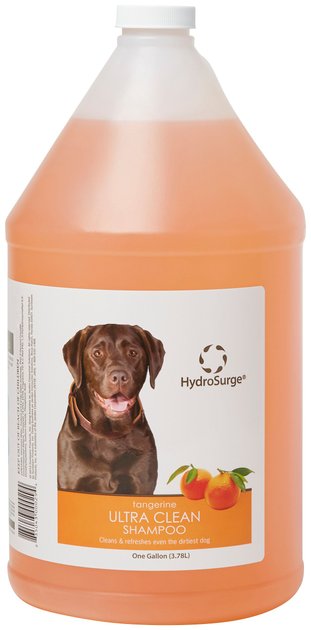 Photo of Oster-HydroSurge Ultra Clean Shampoo-Tangerine-1 Gallon-from Pet Wish Pros