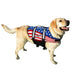 Photo of Pawz Pet Products-Pawz Pet Products Nylon Dog Life Jacket-Small-US Flag-from Pet Wish Pros