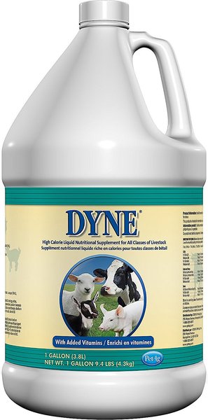 Photo of Pet Ag-Pet Ag Dyne High Calorie Liquid for Livestock-1 Gallon-from Pet Wish Pros