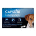 Photo of PetIQ-Capstar Flea Tablets for Dogs-from Pet Wish Pros