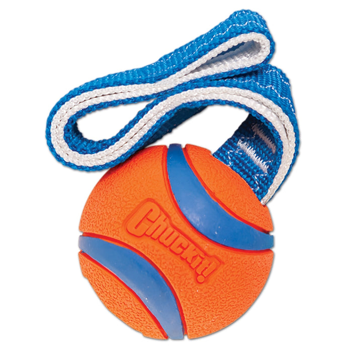 Photo of Petmate-Chuckit! Ultra Tug Dog Toy-Orange/Blue-Small-from Pet Wish Pros