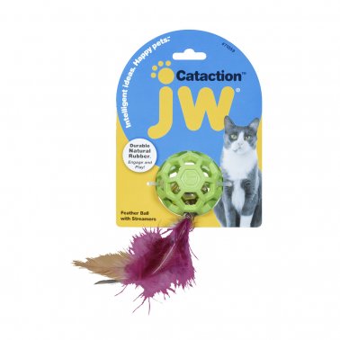 Photo of Petmate-JW Cataction Feather Cat Toy-Green-from Pet Wish Pros