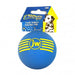Photo of Petmate-JW iSqueak Ball Dog Toy-Medium-Assorted-from Pet Wish Pros