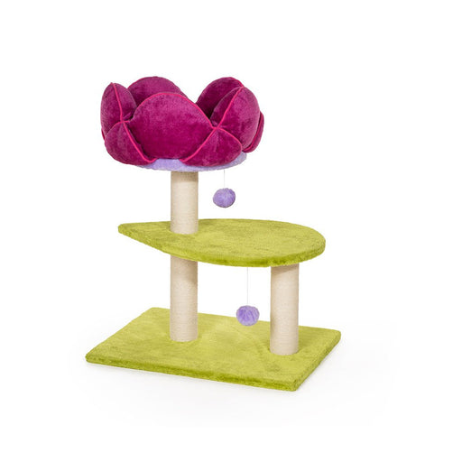 Photo of Prevue Pet Products-Prevue Pet Flower Power Cat Furniture-Pack of 1-from Pet Wish Pros