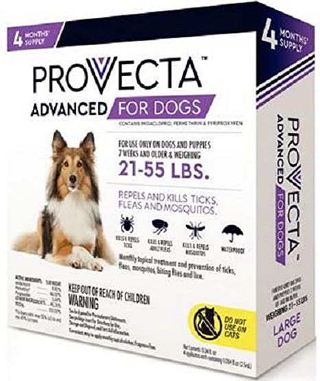 Photo of Provecta-Provecta for Dogs-from Pet Wish Pros